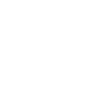 Rhino Security Labs Logo